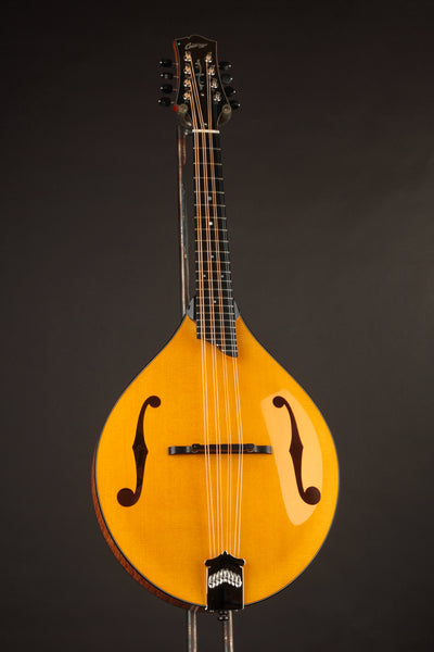 Collings MT2 Mandola Honey Amber
