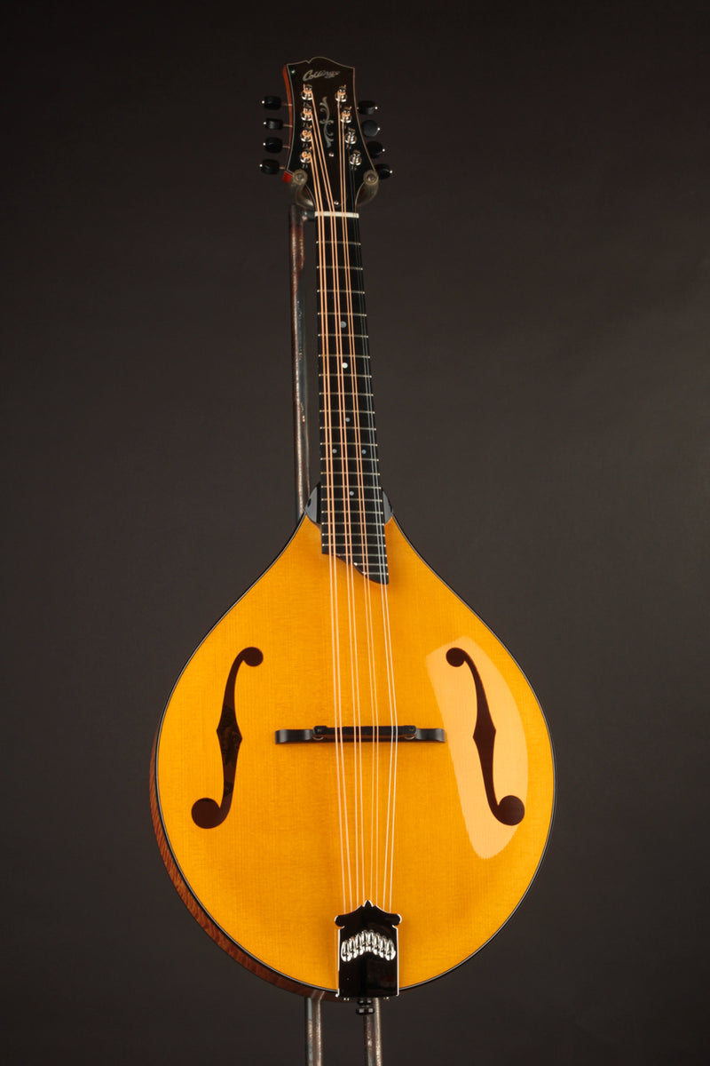 Collings MT2 Mandola Honey Amber