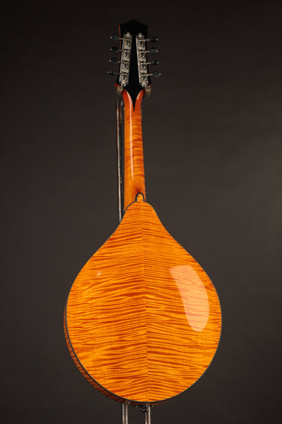 Collings MT2 Mandola Honey Amber