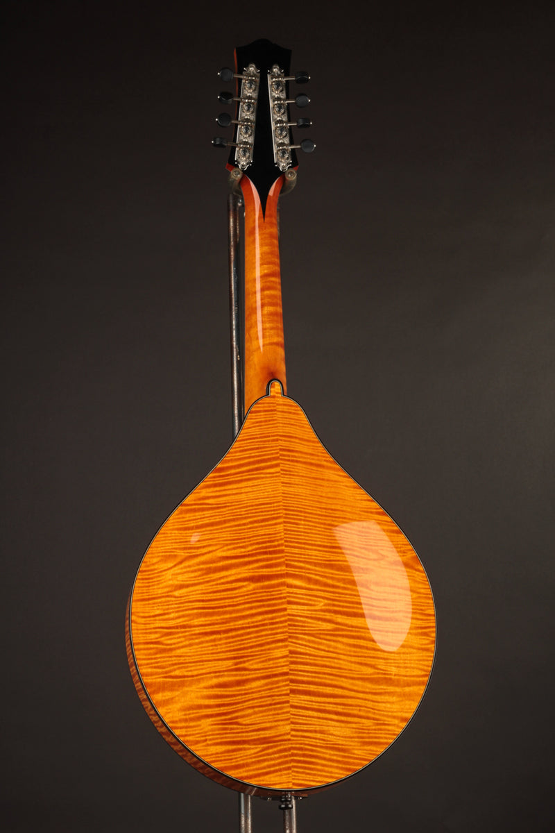 Collings MT2 Mandola Honey Amber
