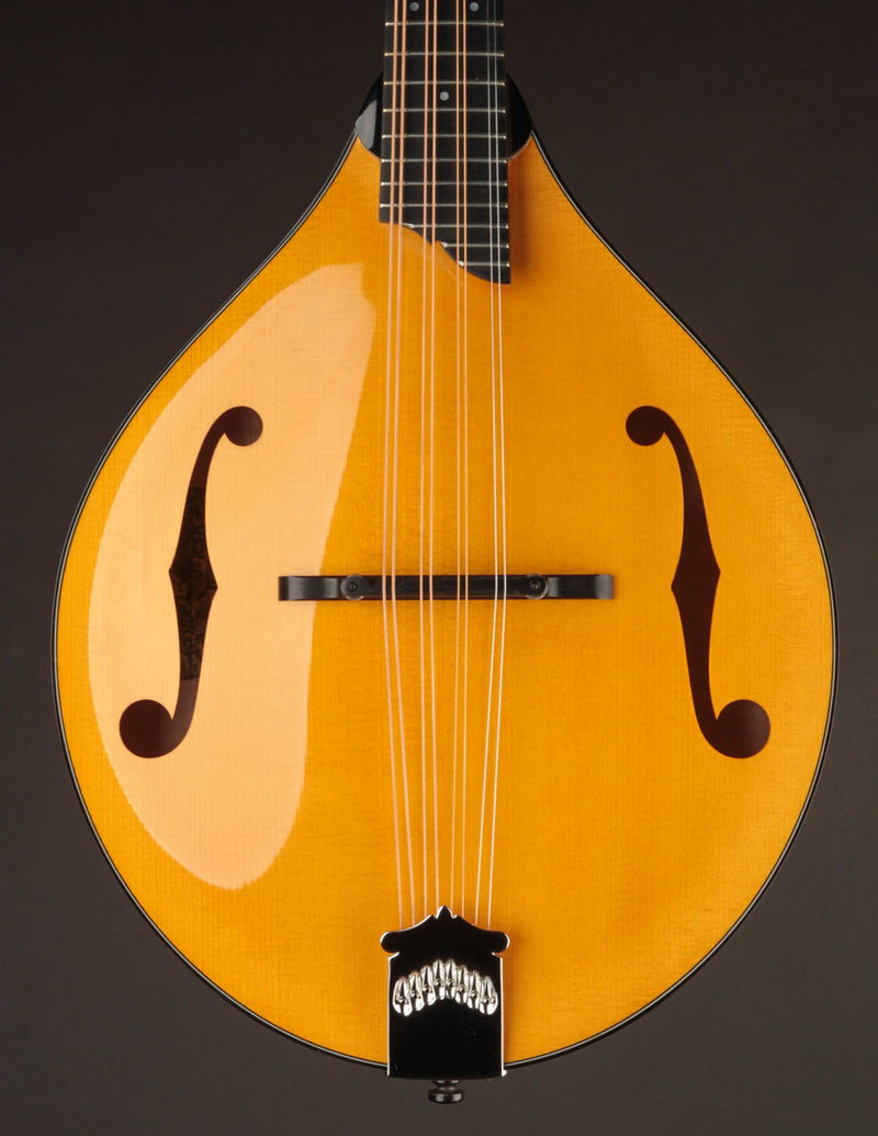 Collings MT2 Mandola Honey Amber