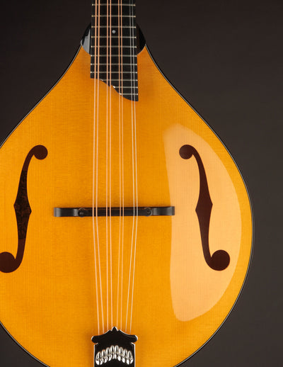 Collings MT2 Mandola Honey Amber