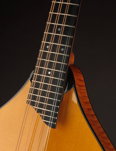 Collings MT2 Mandola Honey Amber