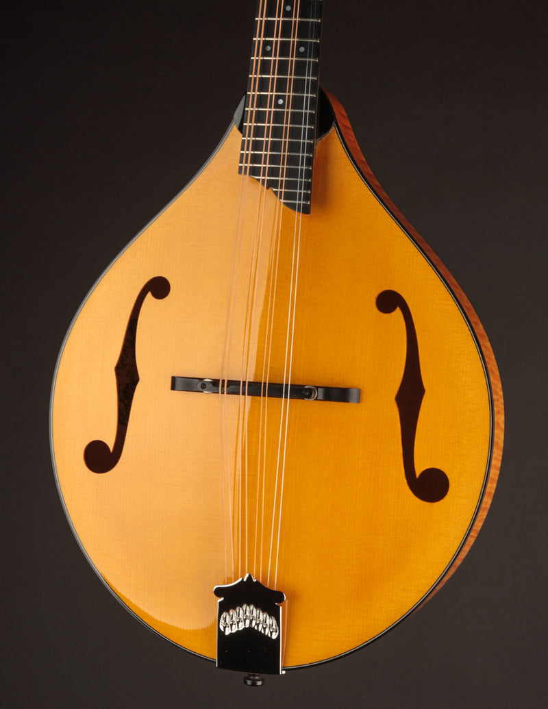 Collings MT2 Mandola Honey Amber