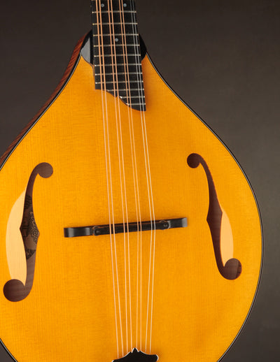 Collings MT2 Mandola Honey Amber