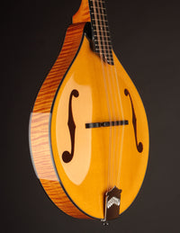 Collings MT2 Mandola Honey Amber