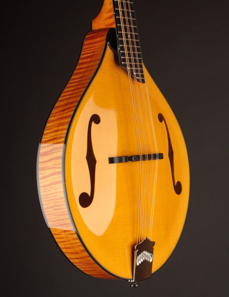 Collings MT2 Mandola Honey Amber