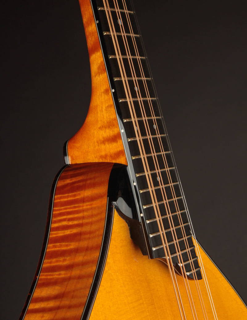 Collings MT2 Mandola Honey Amber