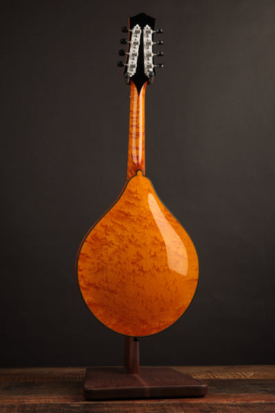 Collings MT2-O Varnish Italian Spruce & Birdseye Maple Honey Amber