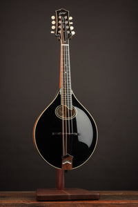 Collings MT2-O Black Top