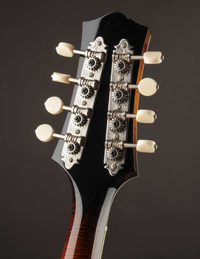 Collings MT2-O Black Top
