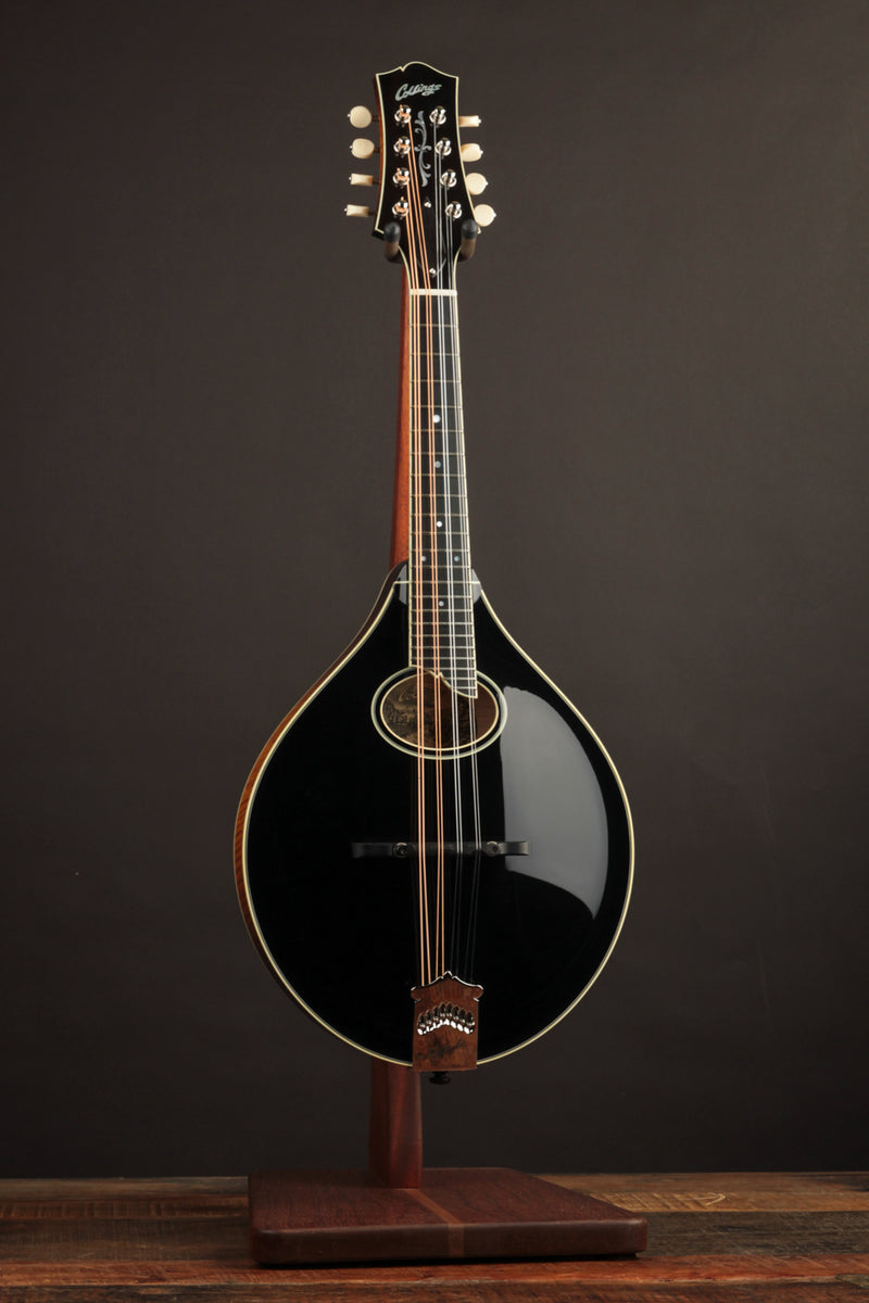 Collings MT2-O Black Top