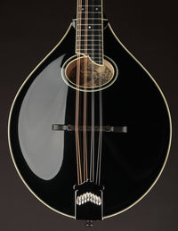 Collings MT2-O Black Top