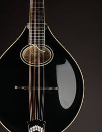Collings MT2-O Black Top