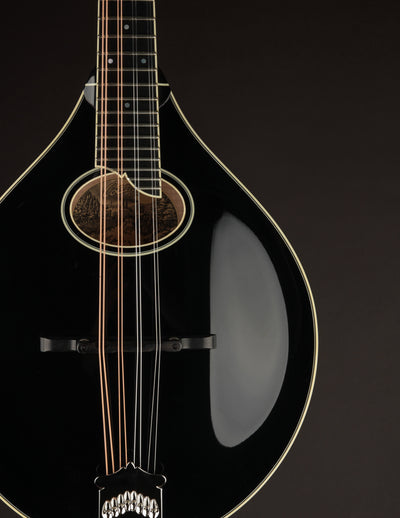 Collings MT2-O Black Top