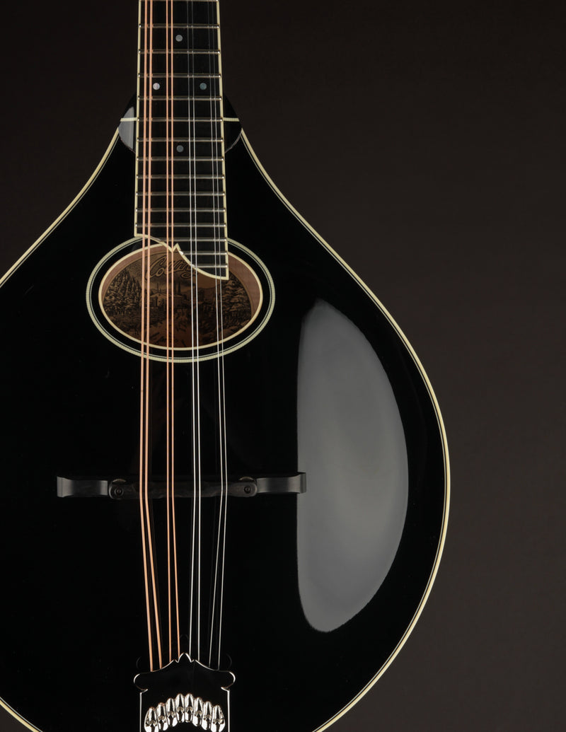 Collings MT2-O Black Top