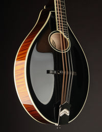 Collings MT2-O Black Top