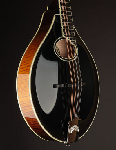 Collings MT2-O Black Top