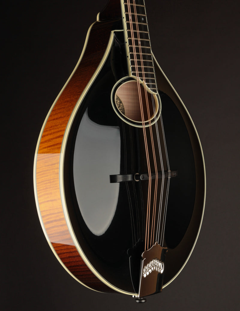 Collings MT2-O Black Top