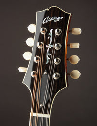 Collings MT2-O Black Top