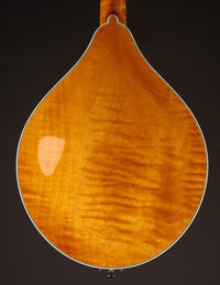 Collings MT2-O Honey Amber w/ Ivoroid Binding