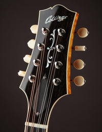 Collings MT2-O Honey Amber w/ Ivoroid Binding