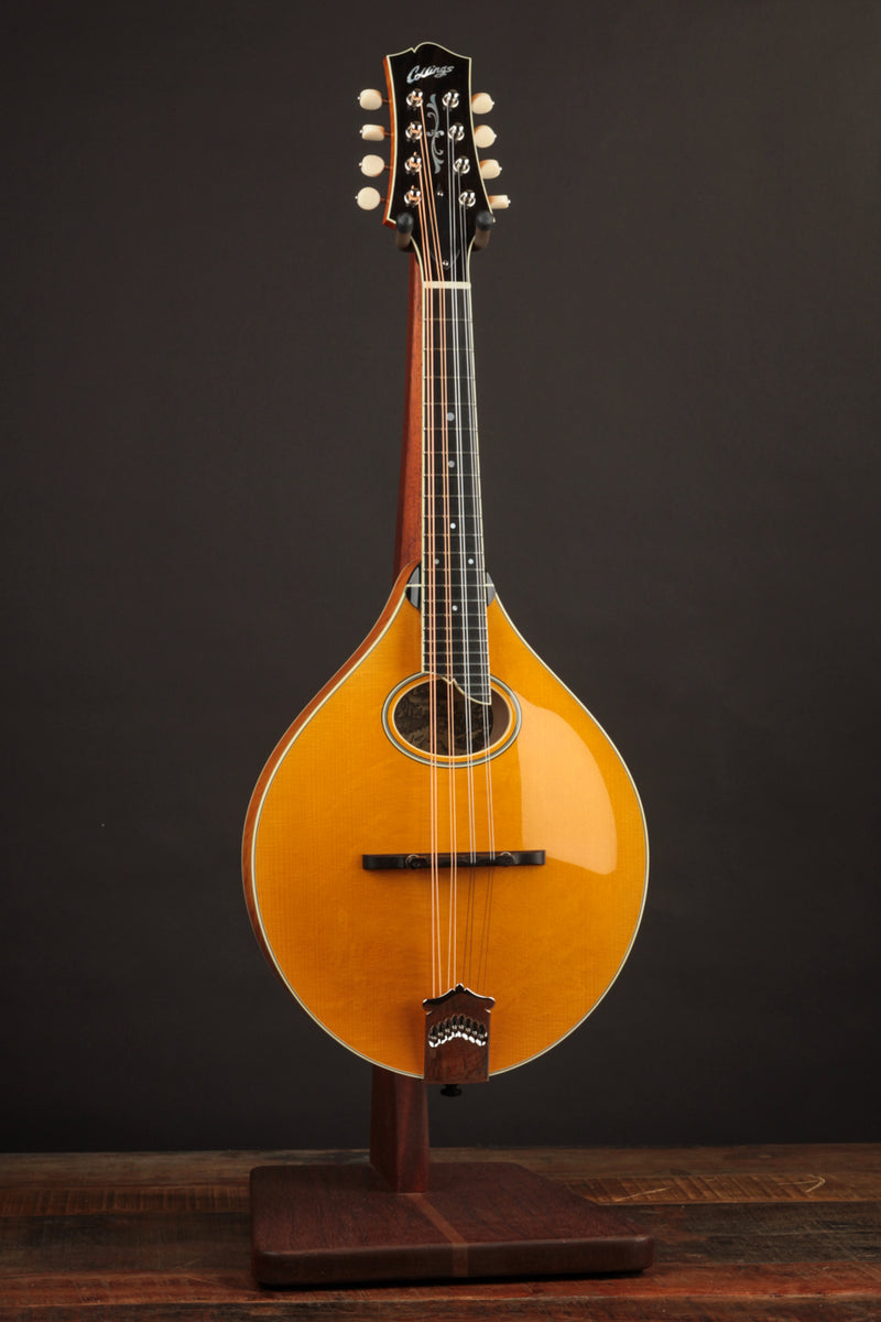 Collings MT2-O Honey Amber w/ Ivoroid Binding