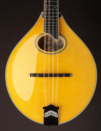 Collings MT2-O Honey Amber w/ Ivoroid Binding