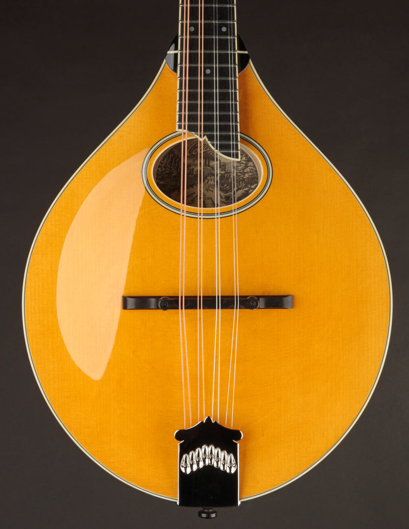 Collings MT2-O Honey Amber w/ Ivoroid Binding