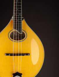Collings MT2-O Honey Amber w/ Ivoroid Binding