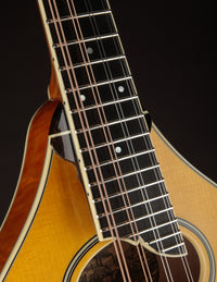 Collings MT2-O Honey Amber w/ Ivoroid Binding
