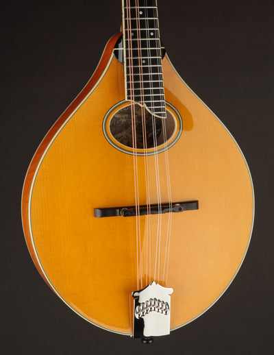 Collings MT2-O Honey Amber w/ Ivoroid Binding