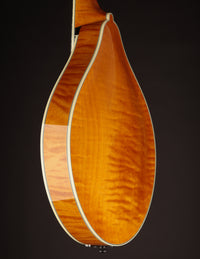 Collings MT2-O Honey Amber w/ Ivoroid Binding
