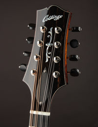 Collings MT2-O Birdseye Maple / Italian Spruce Sunburst