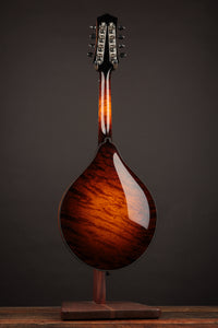 Collings MT2-O Birdseye Maple / Italian Spruce Sunburst
