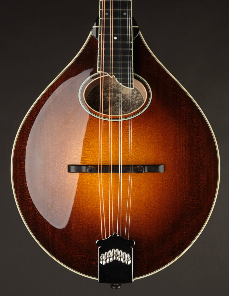 Collings MT2-O Birdseye Maple / Italian Spruce Sunburst