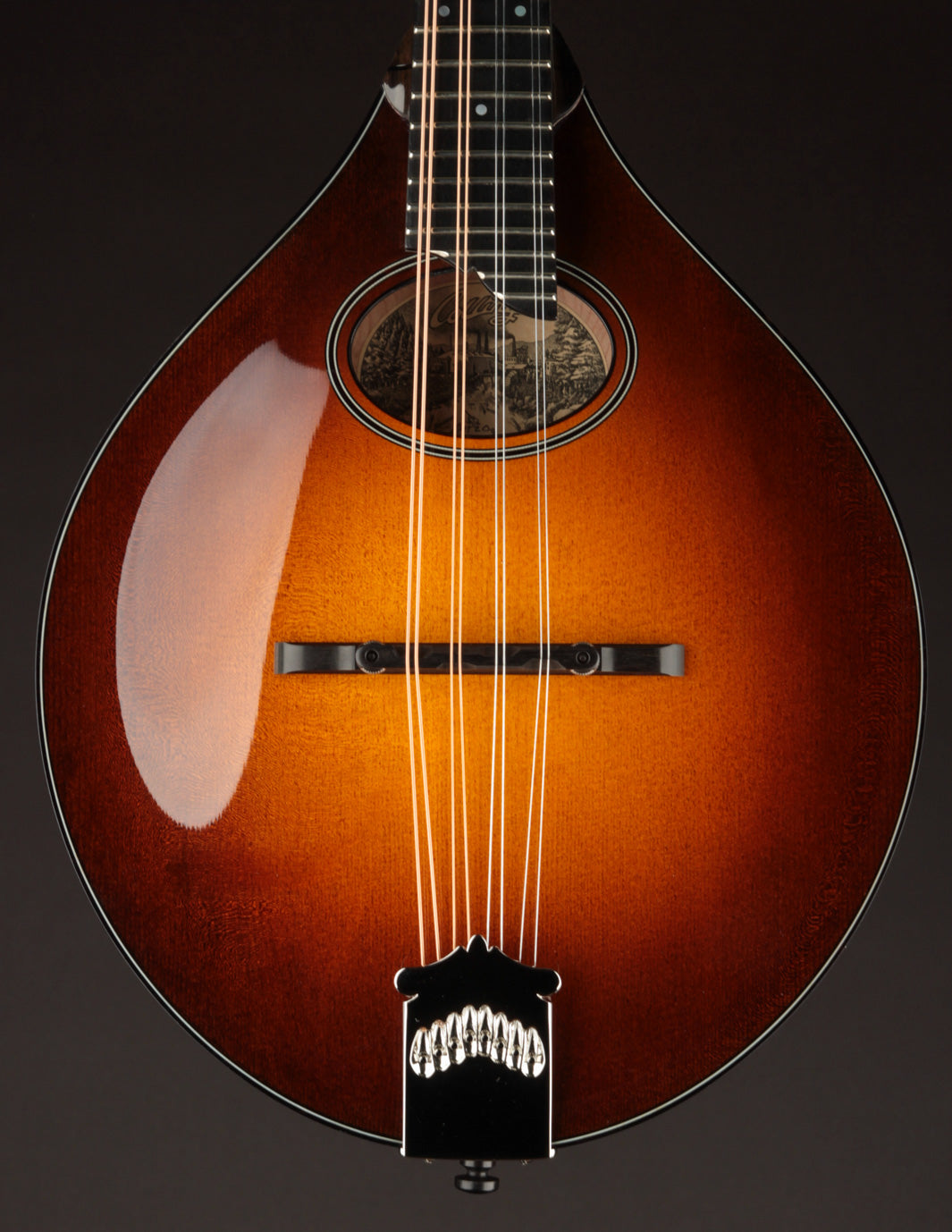 Collings MT2-O Birdseye Maple / Italian Spruce Sunburst