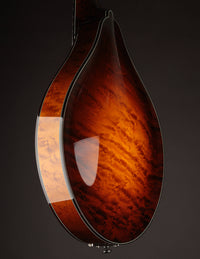 Collings MT2-O Birdseye Maple / Italian Spruce Sunburst