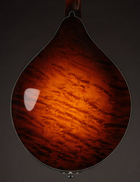 Collings MT2-O Birdseye Maple / Italian Spruce Sunburst
