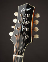 Collings MT2-O Sunburst