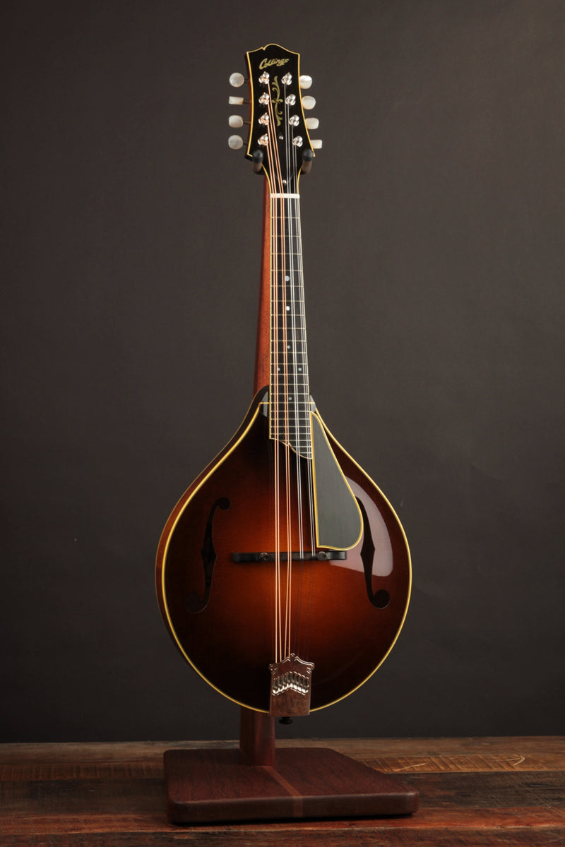 Collings MT2-V Varnish Italian Sunburst