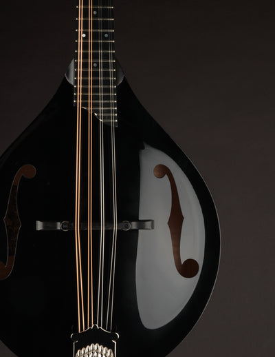 Collings MT Gloss Black Top Sunburst Back & Sides