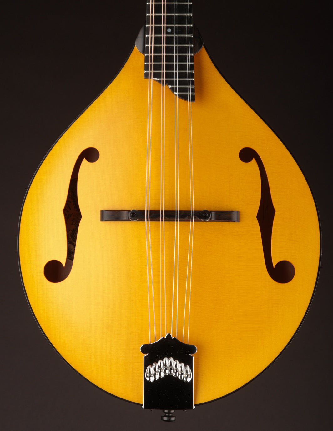Collings MT Honey Amber