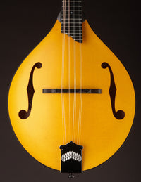Collings MT Honey Amber