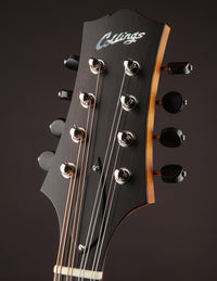 Collings MT Honey Amber