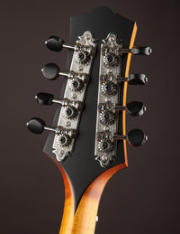 Collings MT Honey Amber