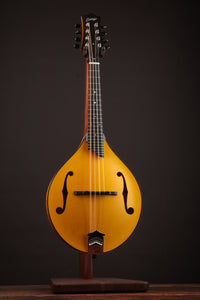 Collings MT Honey Amber