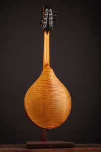 Collings MT Honey Amber