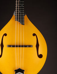 Collings MT Honey Amber