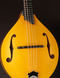Collings MT Honey Amber